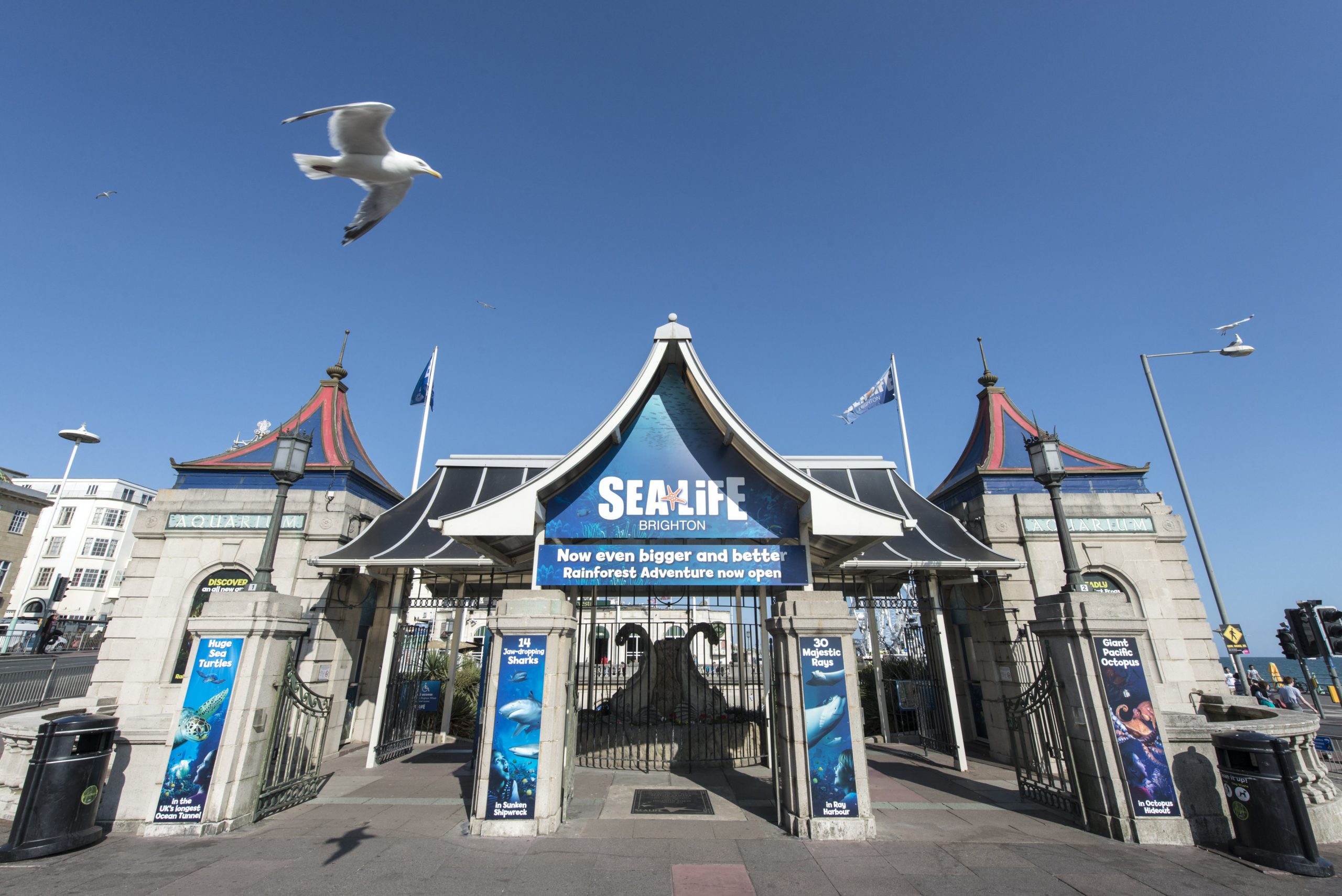 Sealife Centre, Brighton, review