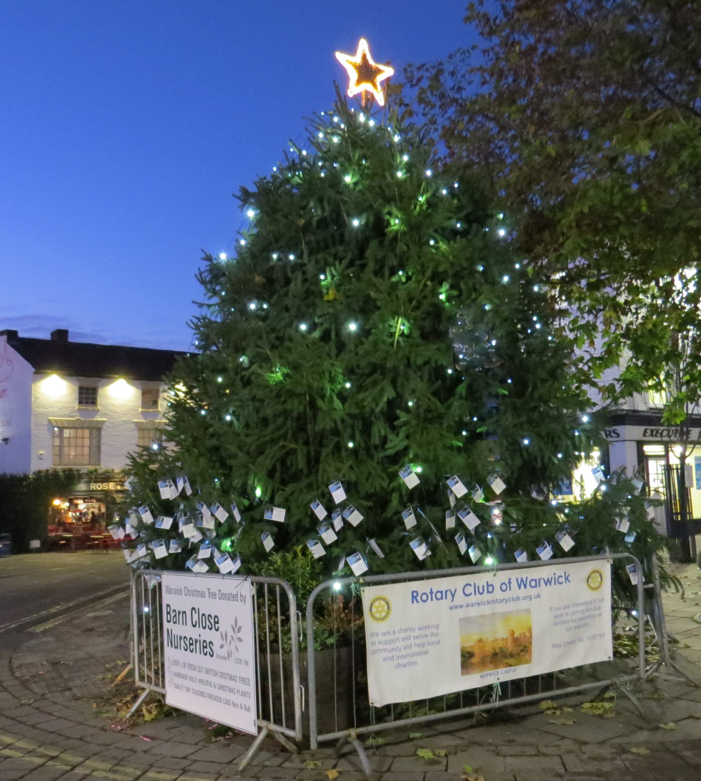 Tree of Light, Warwick Rotary