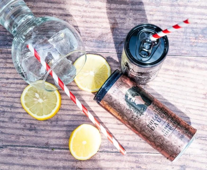 Warwickshire Gin Company, canned gins