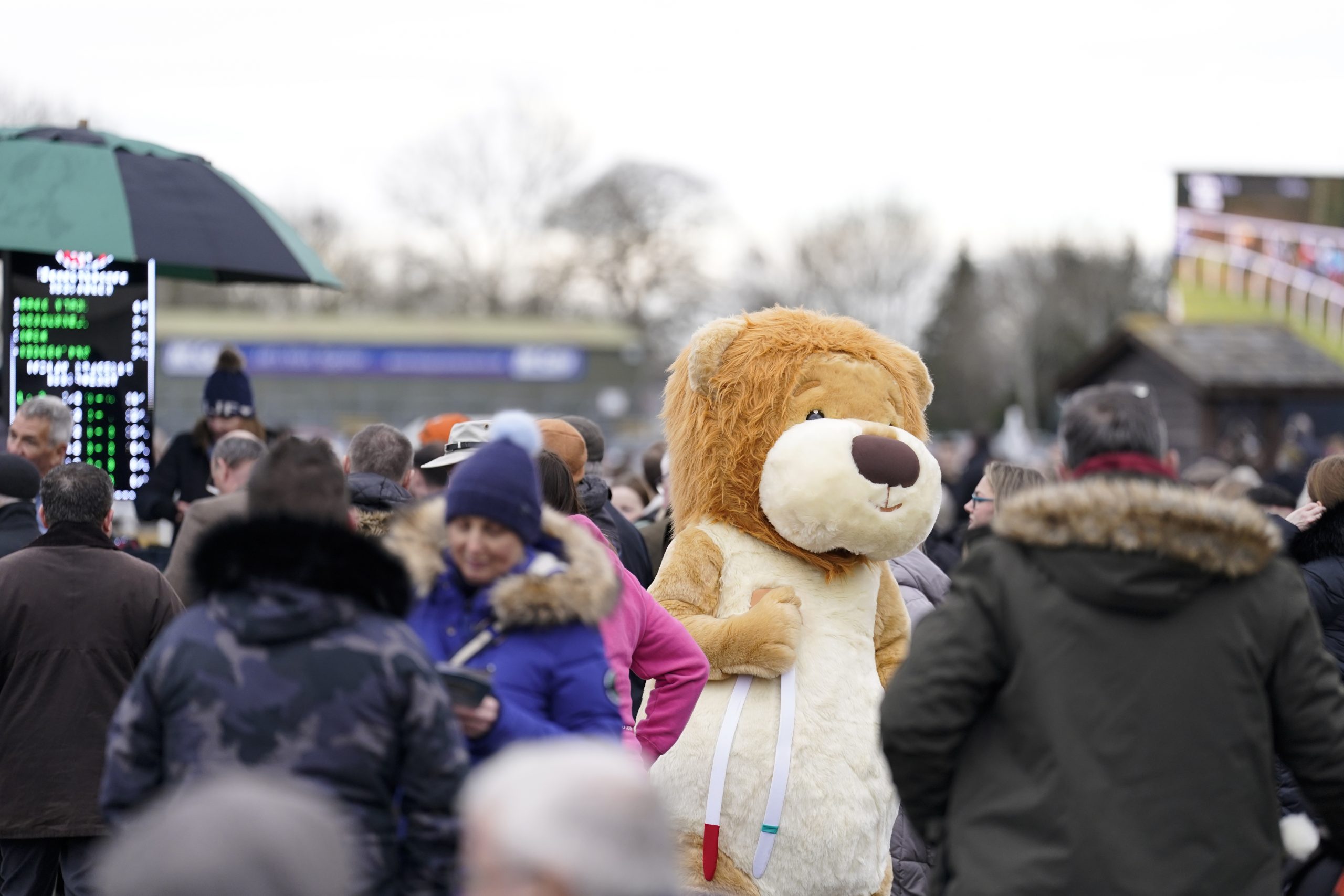 Molly Ollys, Warwick Racecourse