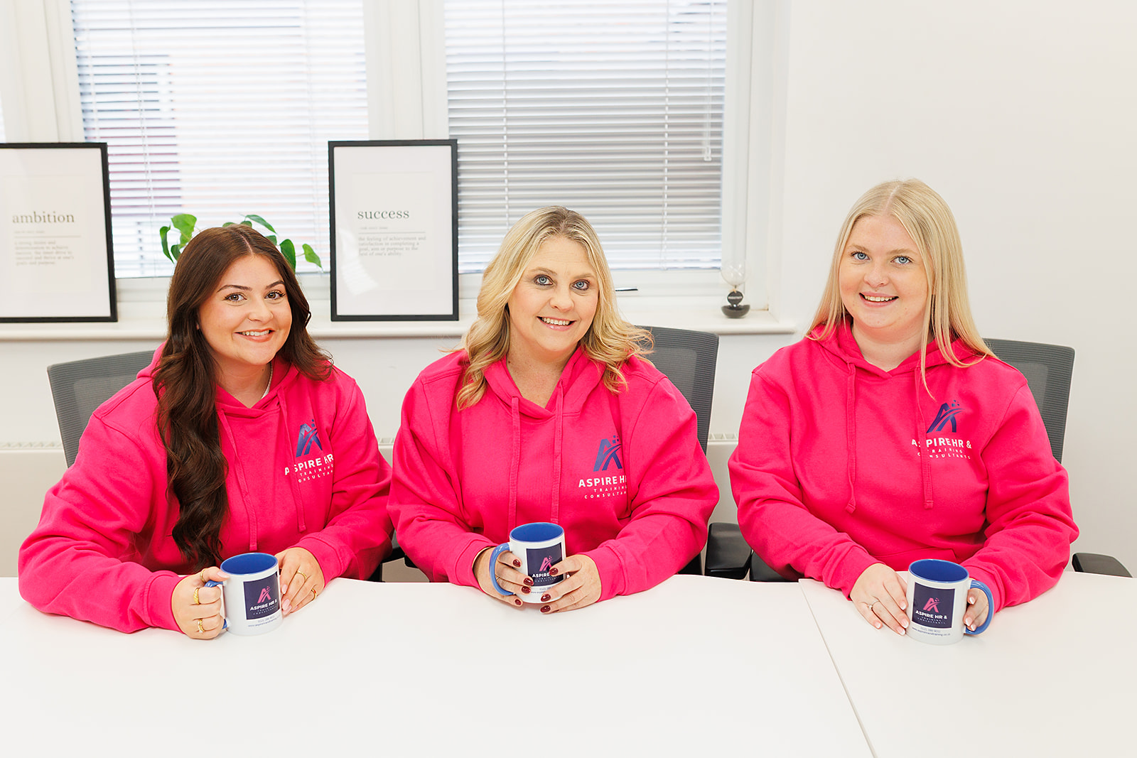 Aspire HR & Training Consultants, Hockley Heath