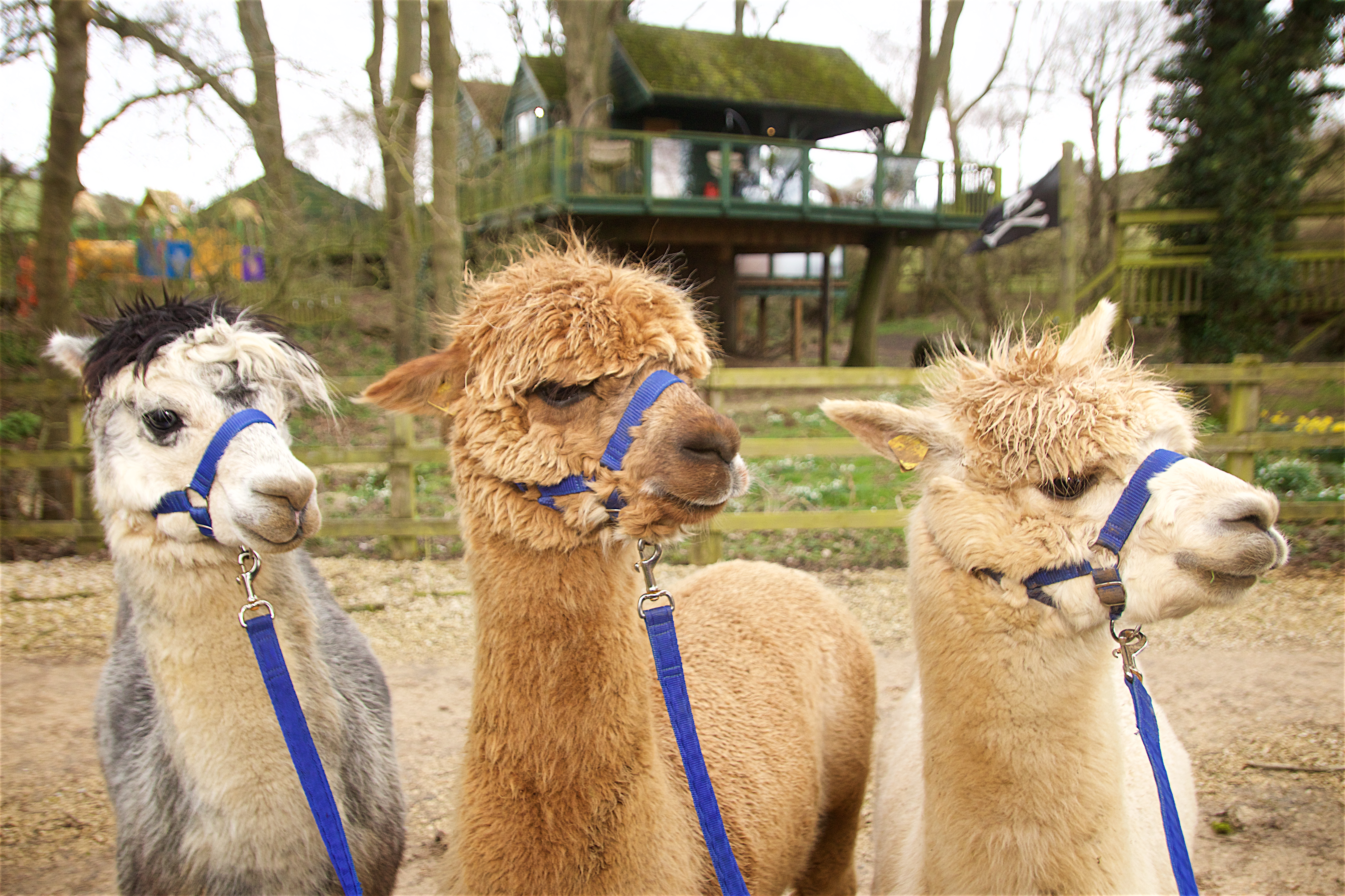 Charlie meets his new namesake at holiday retreat