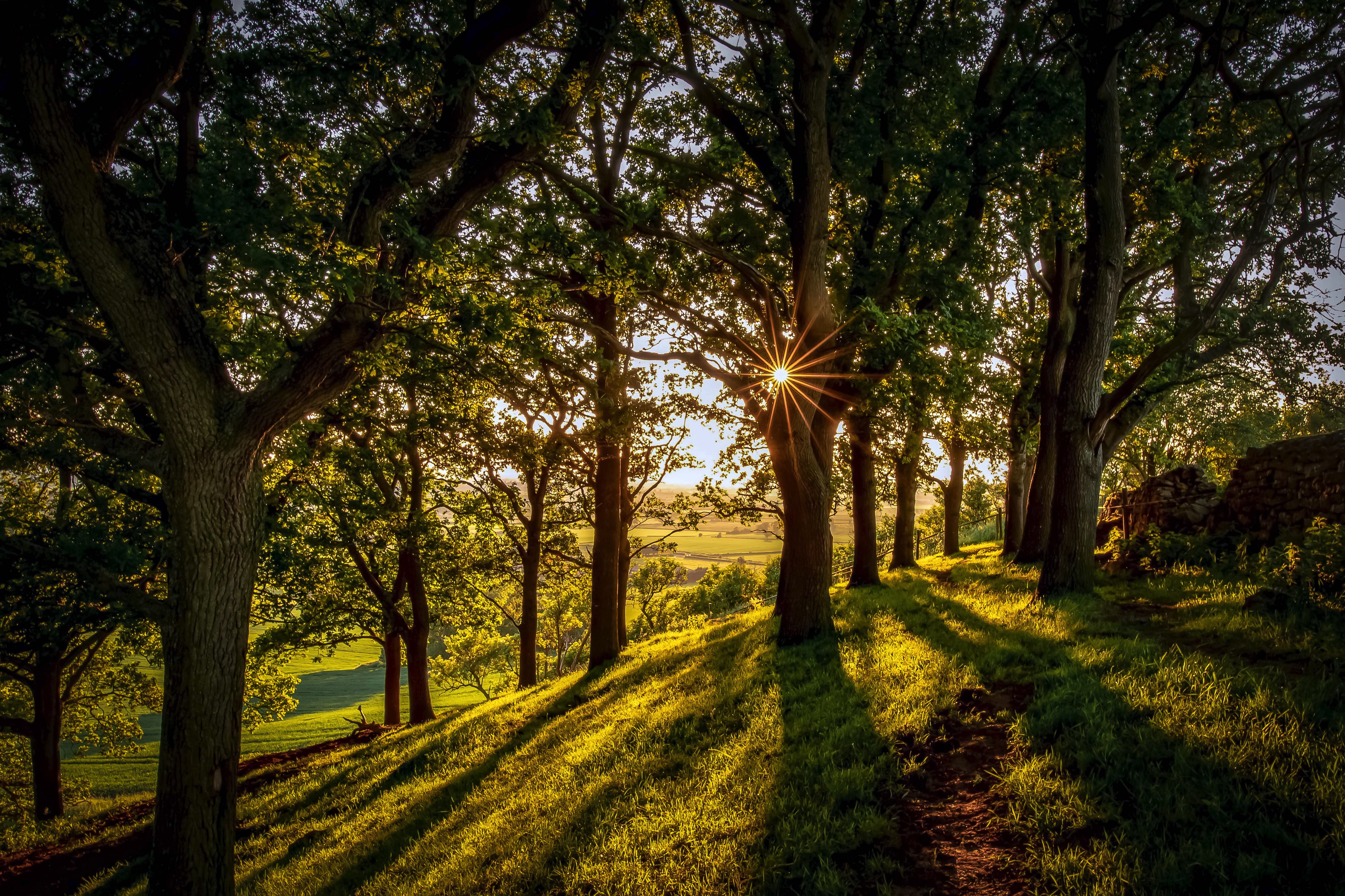 CORONAVIRUS: Joining forces to ward off effects of pandemic