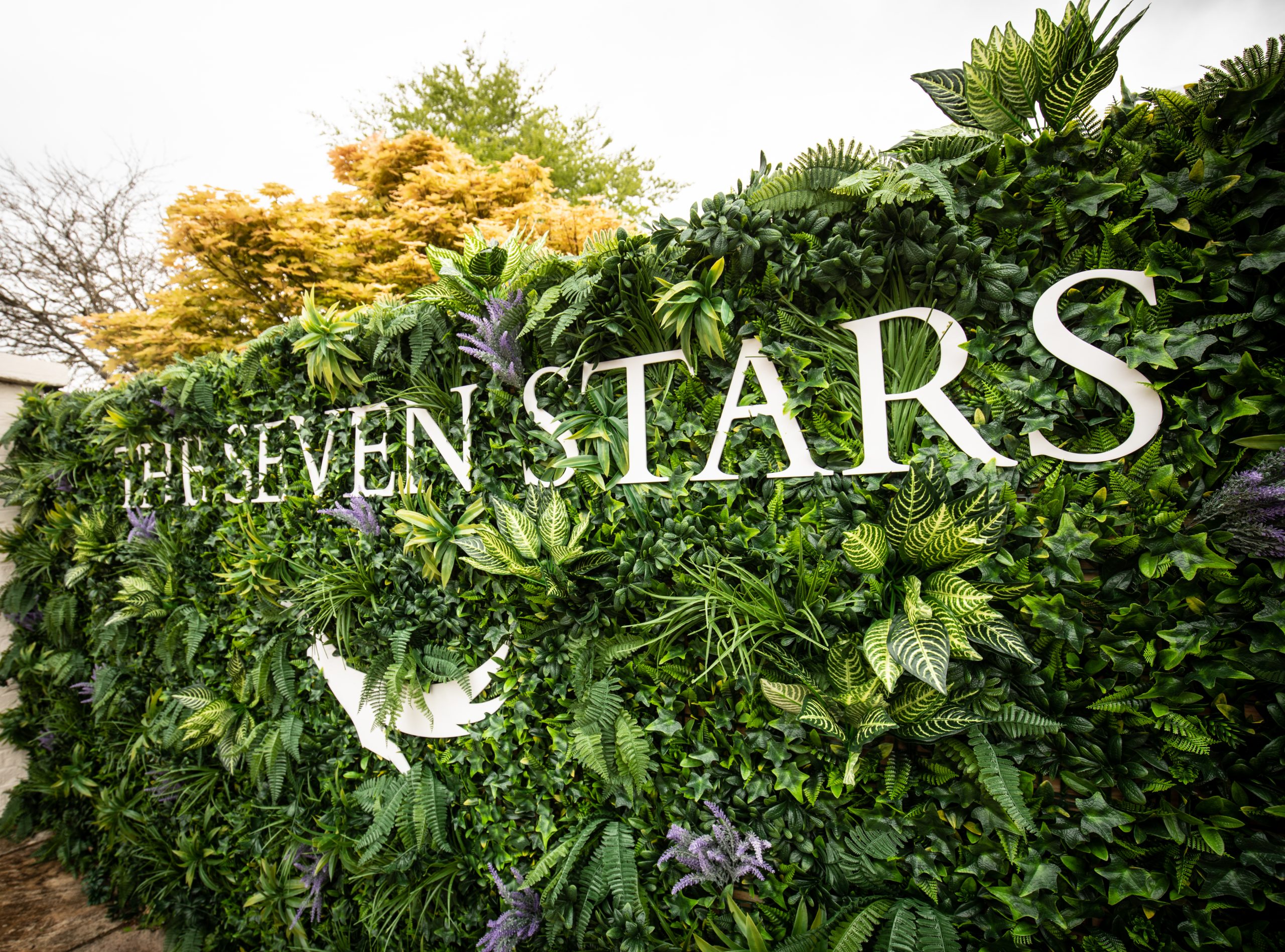 The best things come in small packages at The Seven Stars