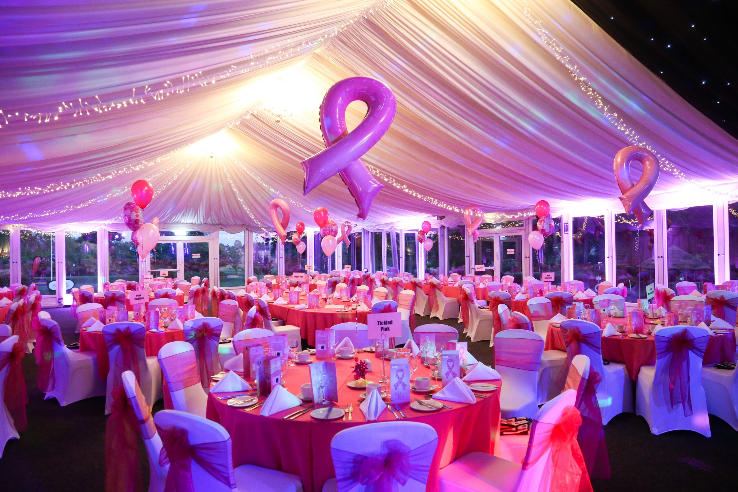 Tickled pink with charity ball fundraiser